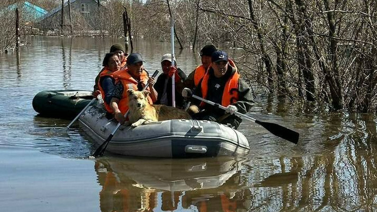 23 тысячи пострадавших от паводков казахстанцев вернулись в свои дома
