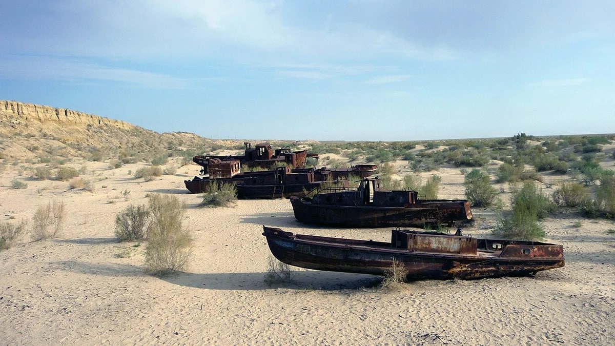 Узбекистан получит 1,6 млн долларов на лесопосадки на дне Аральского моря