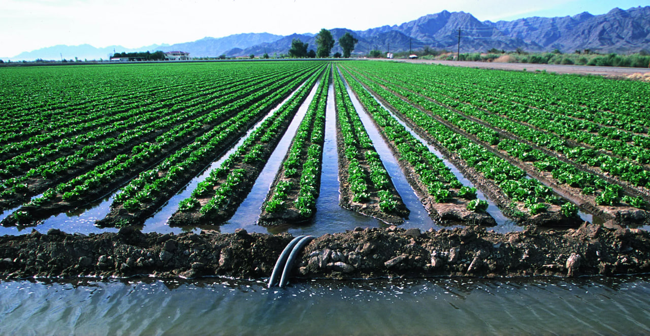 Казахстан получит из Узбекистана 922 млн кубометров воды для полива земель
