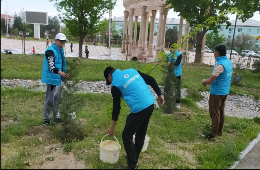 Год волонтерского движения в СНГ: в Таджикистане разбили Сад волонтеров